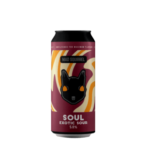 Mad Squirrel - Sour Exotic Stout